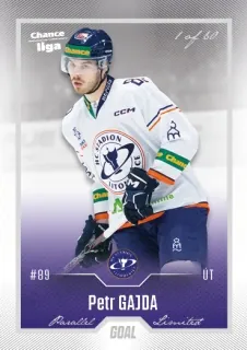 Gajda Petr Goal Cards II.serie 2022-23 Silver 1of60 č.272