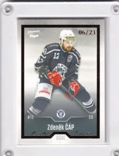 Čáp Zdeněk Goal Cards II.serie 2022-23 Gold /23 č.317