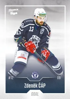 Čáp Zdeněk Goal Cards II.serie 2022-23 Řadovka č.317