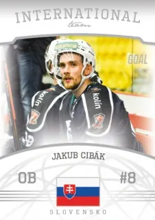 Cibák Jakub Goal Cards II.serie 2022-23 International Team č.IT07