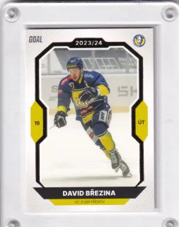 Březina David Goal Cards I.série 2023-24 I.série Gold 1of20 č.111