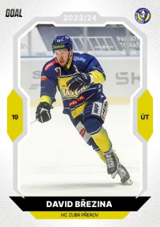 Březina David Goal Cards I.série 2023-24 I.série Řadovka č.111