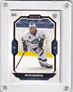 Koukal Petr Goal Cards I.série 2023-24 I.série Gold 1of20 č.151