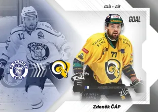 Čáp Zdeněk Goal Cards I.série 2023-24 I.série League Transfers č.LT-03