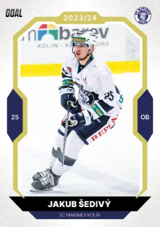 Šedivý Jakub Goal Cards II.série 2023-24 Gold 1of20 č.347