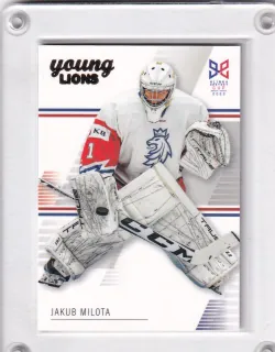 Milota Jakub LC Hlinka a Gretzky Cup 2023 Řadovka č.2