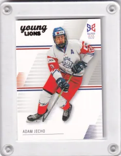 Jecho Adam LC Hlinka a Gretzky Cup 2023 Řadovka č.21