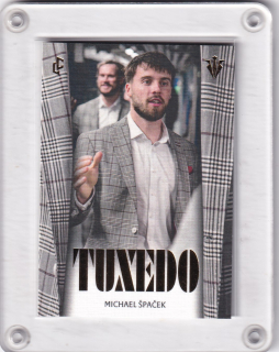 Špaček Michael LC National Team 2005 II.série Insert Tuxedo Gold /29 č.TUX-11