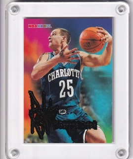 Zidek George Hoops 1995-96 Rookie č.254