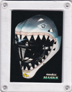 Hayward Brian Pinnacle 1992-93 Masks č.266
