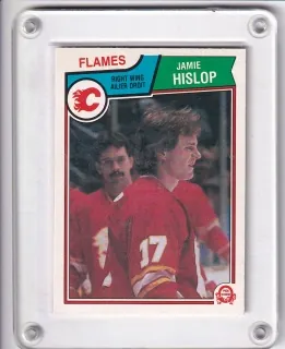 Hislop Jamie O-Pee-Chee 1983-84  č.83