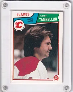 Tambellini Steve O-Pee-Chee 1983-84  č.93