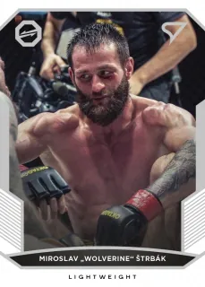 Štrbák Miroslav Oktagon MMA 2022 Řadovka č.41