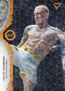 Barborík Vojto SportZoo MMA Oktagon 2024 Orange 1of75 č.023