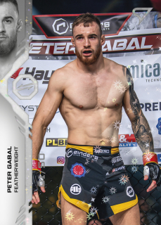 Gabal Peter SportZoo MMA Oktagon 2024 Silver xx/50 č.026