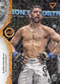Palokaj Gjoni SportZoo MMA Oktagon 2024 Orange 1of75 č.033