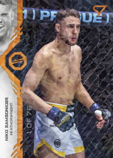 Samsonidse Niko SportZoo MMA Oktagon 2024 Orange 1of75 č.037