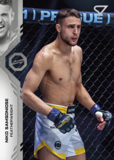 Samsonidse Niko SportZoo MMA Oktagon 2024 Řadovka č.037