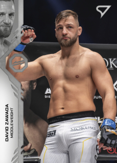 Zawada David SportZoo MMA Oktagon 2024 Řadovka č.126