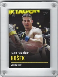 Hošek David SportZoo Oktagon 2019  č.B51
