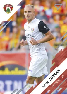 Zapolnik Kamil PKO Bank Polski Ekstraklasa 2023-24 I.série Base č.216