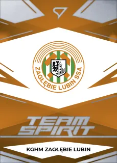  Logo PKO Bank Polski Ekstraklasa 2023-24 I.série Team Spirit  č.TS-26