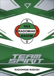  Logo PKO Bank Polski Ekstraklasa 2023-24 I.série Team Spirit  č.TS-29