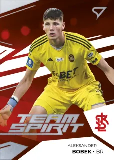 Bobek Aleksander PKO Bank Polski Ekstraklasa 2023-24 I.série Team Spirit  č.TS-48
