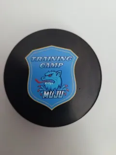 Hokejový puky - jednostranný -  Training Camp MoJU     