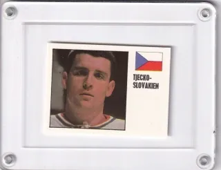 Horešovský Josef Hockey Williams 1970-71 č.348