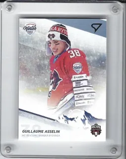 Asselin Guillaume Winter Classic 2019 Winter Classic č.W11