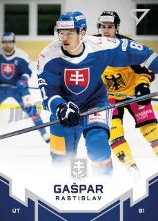 Gašpar Rastislav SportZoo Slovenská reprezentace 2022 č.29