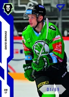 Bernad David SportZoo ELH 2022-23 Blue /99 č.277