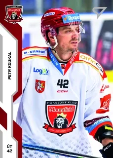 Koukal Petr SportZoo ELH 2022-23 Řadovka č.289