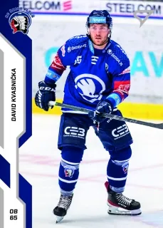 Kvasnička David SportZoo ELH 2022-23 Řadovka č.315