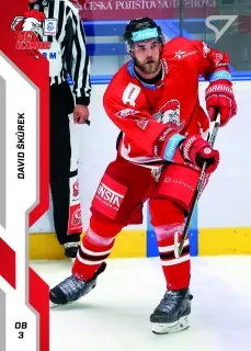 Škůrek David SportZoo ELH 2022-23 Řadovka č.325