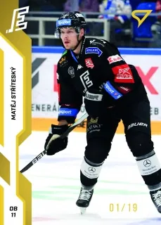 Stříteský Matěj SportZoo ELH 2022-23 Gold /19 č.342