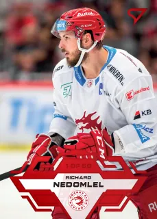 Nedomlel Richard SportZoo Tipsport 2023-24 I.série Goal Light 1of60 č.5