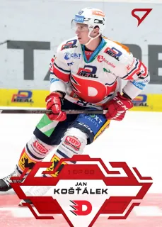 Košťálek Jan SportZoo Tipsport 2023-24 I.série Goal Light 1of60 č.43