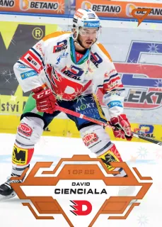 Cienciala David SportZoo Tipsport 2023-24 I.série Blade Sparks 1of25 č.46