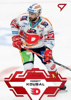 Kousal Robert SportZoo Tipsport 2023-24 I.série Goal Light 1of60 č.48