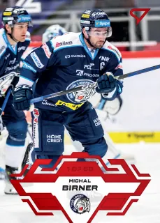 Birner Michal SportZoo Tipsport 2023-24 I.série Goal Light 1of60 č.98
