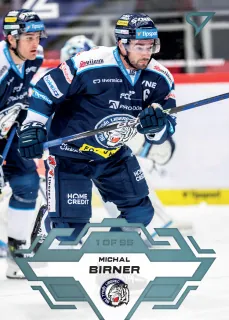 Birner Michal SportZoo Tipsport 2023-24 I.série Ice Reflection 1of95 č.98