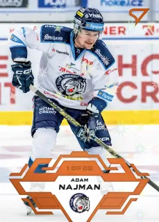 Najman Adam SportZoo Tipsport 2023-24 I.série Blade Sparks 1of25 č.105