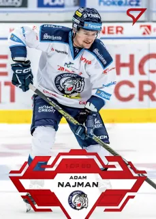 Najman Adam SportZoo Tipsport 2023-24 I.série Goal Light 1of60 č.105