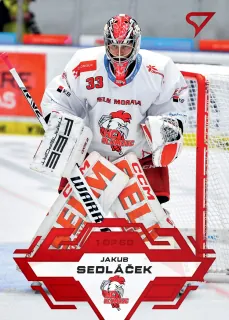 Sedláček Jakub SportZoo Tipsport 2023-24 I.série Goal Light 1of60 č.128