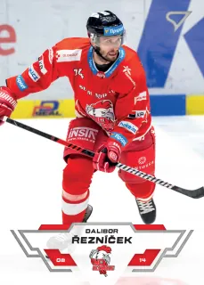 Řezníček Dalibor SportZoo Tipsport 2023-24 I.série Řadovek č.132
