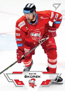 Škůrek David SportZoo Tipsport 2023-24 I.série Řadovek č.134
