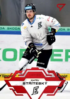 Stříteský Matěj SportZoo Tipsport 2023-24 I.série Goal Light 1of60 č.152