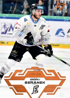 Beránek Ondřej SportZoo Tipsport 2023-24 I.série Blade Sparks 1of25 č.153